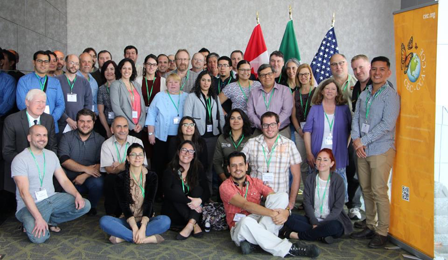 Discuten expertos sobre comercio sustentable y conservación de las tarántulas mexicanas