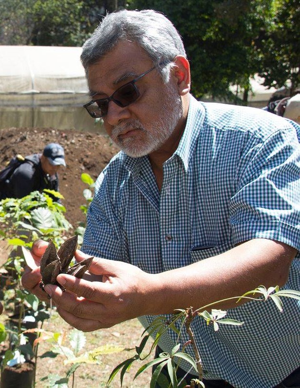 Entrevista a Neptalí Ramírez / Restauración ecológica