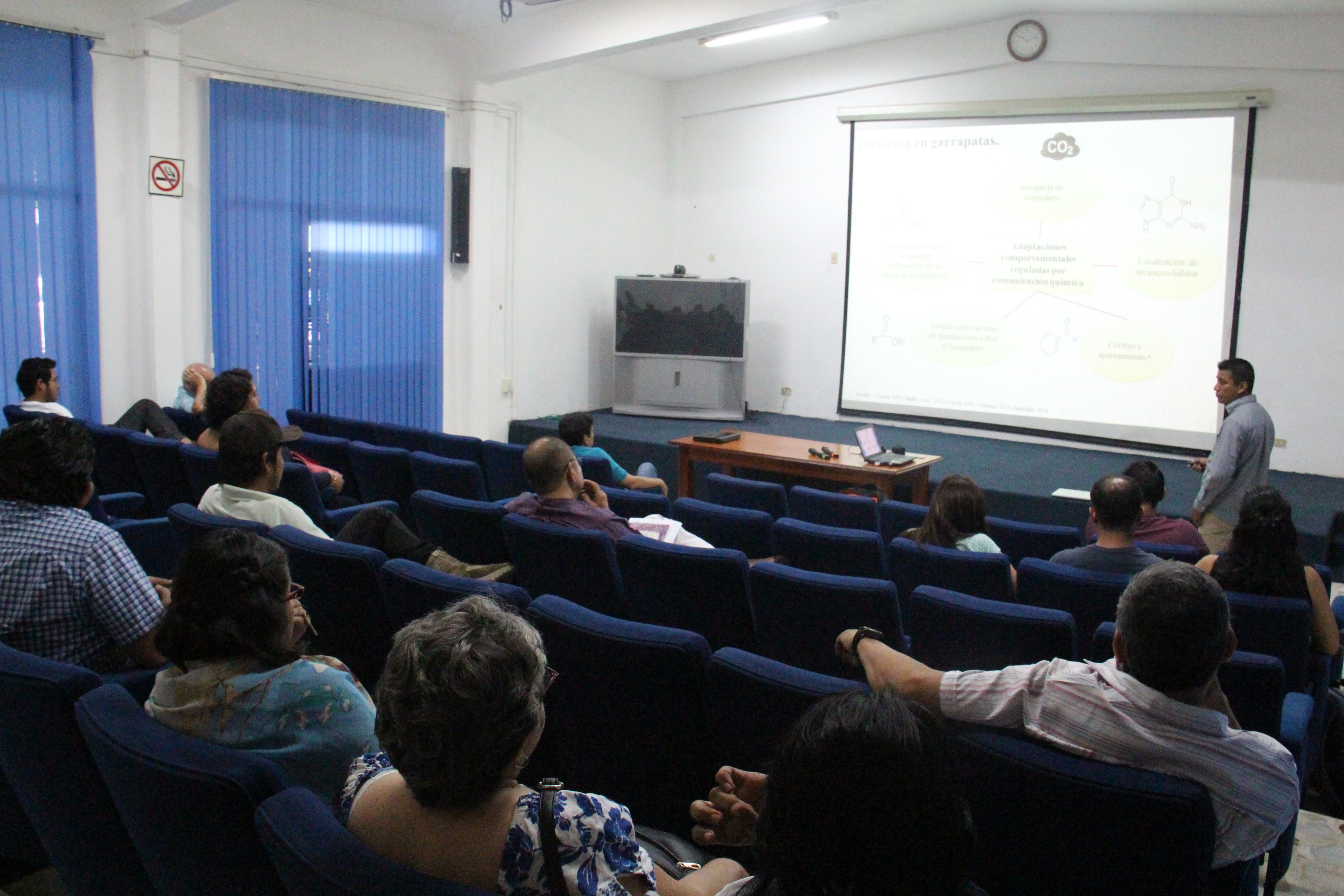 Coloquios de Avance de Investigación en la Unidad Tapachula