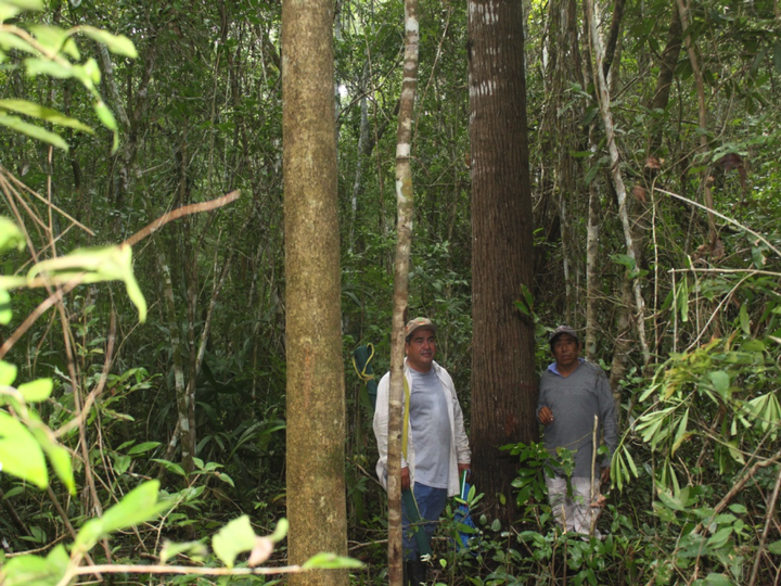 Laguna Om, un remanso de selva tropical y esperanza ante el cambio climático