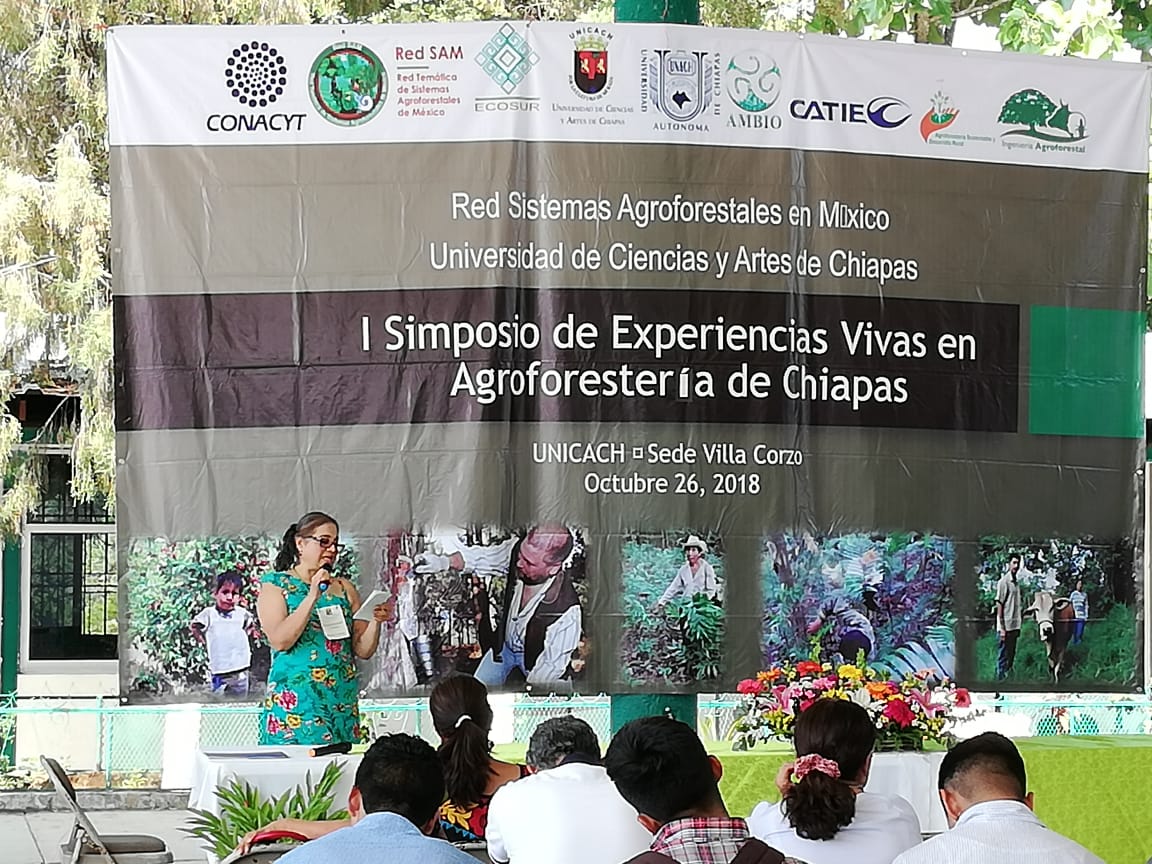 Agroforestería y experiencias vivas en Chiapas. Un camino solidario para reactivar el campo