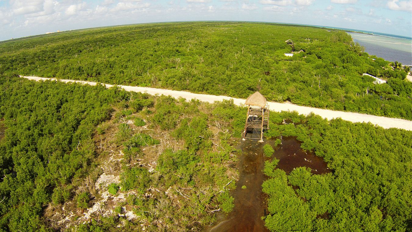 Isla Cozumel, la biodiversidad ante el Antropoceno