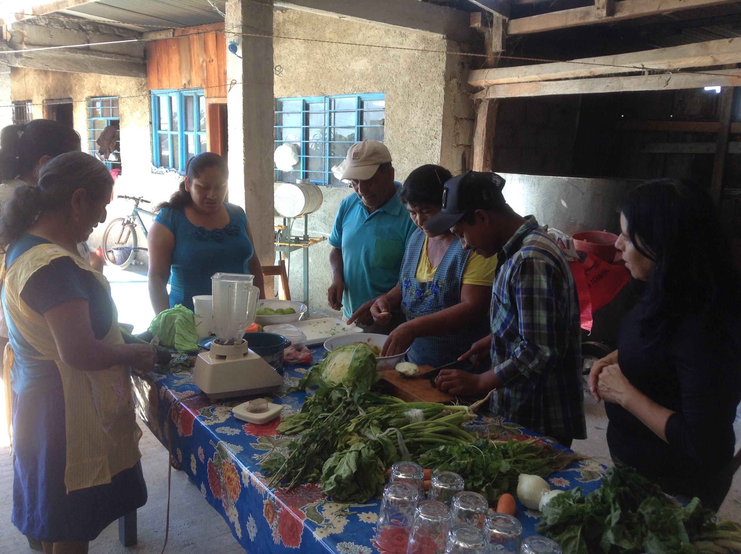 Alimentación y salud de familias de áreas rurales de Chiapas