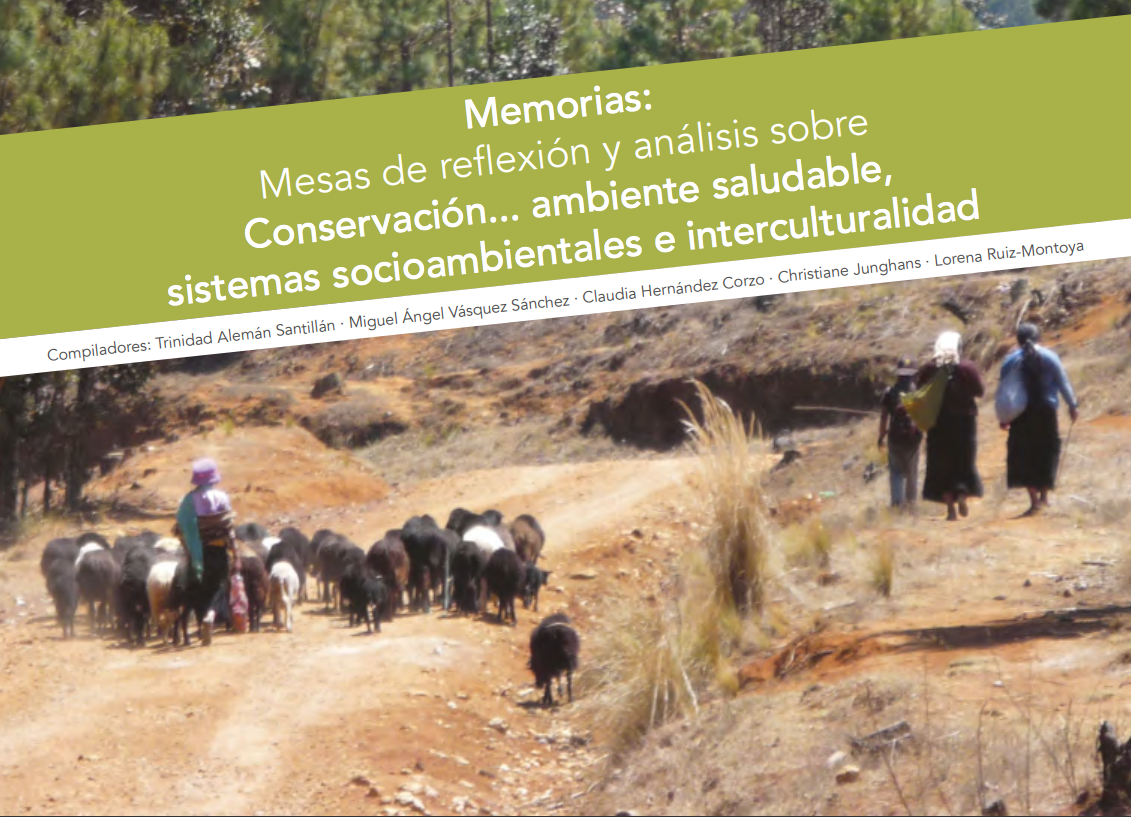Realizan memoria del evento “Mesas de reflexión y análisis sobre conservación” promovido por la Unidad San Cristóbal