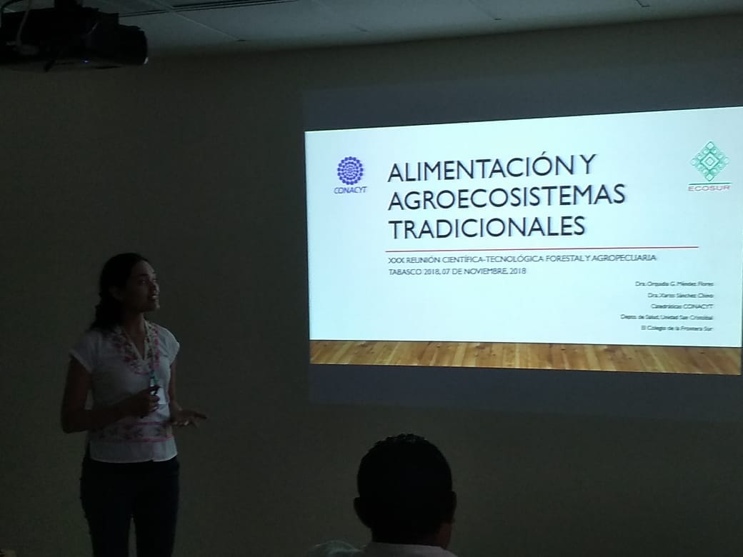 Presentan avances de investigación de ECOSUR en la XXX Reunión Científica Tecnológica, Forestal y Agropecuaria Tabasco 2018