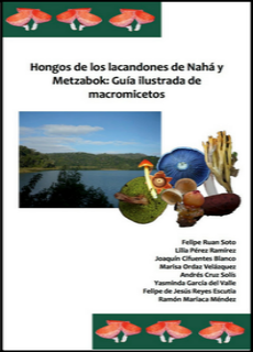 Hongos de los lacandones de Nahá y Metzabok: Guía ilustrada de macromicetos