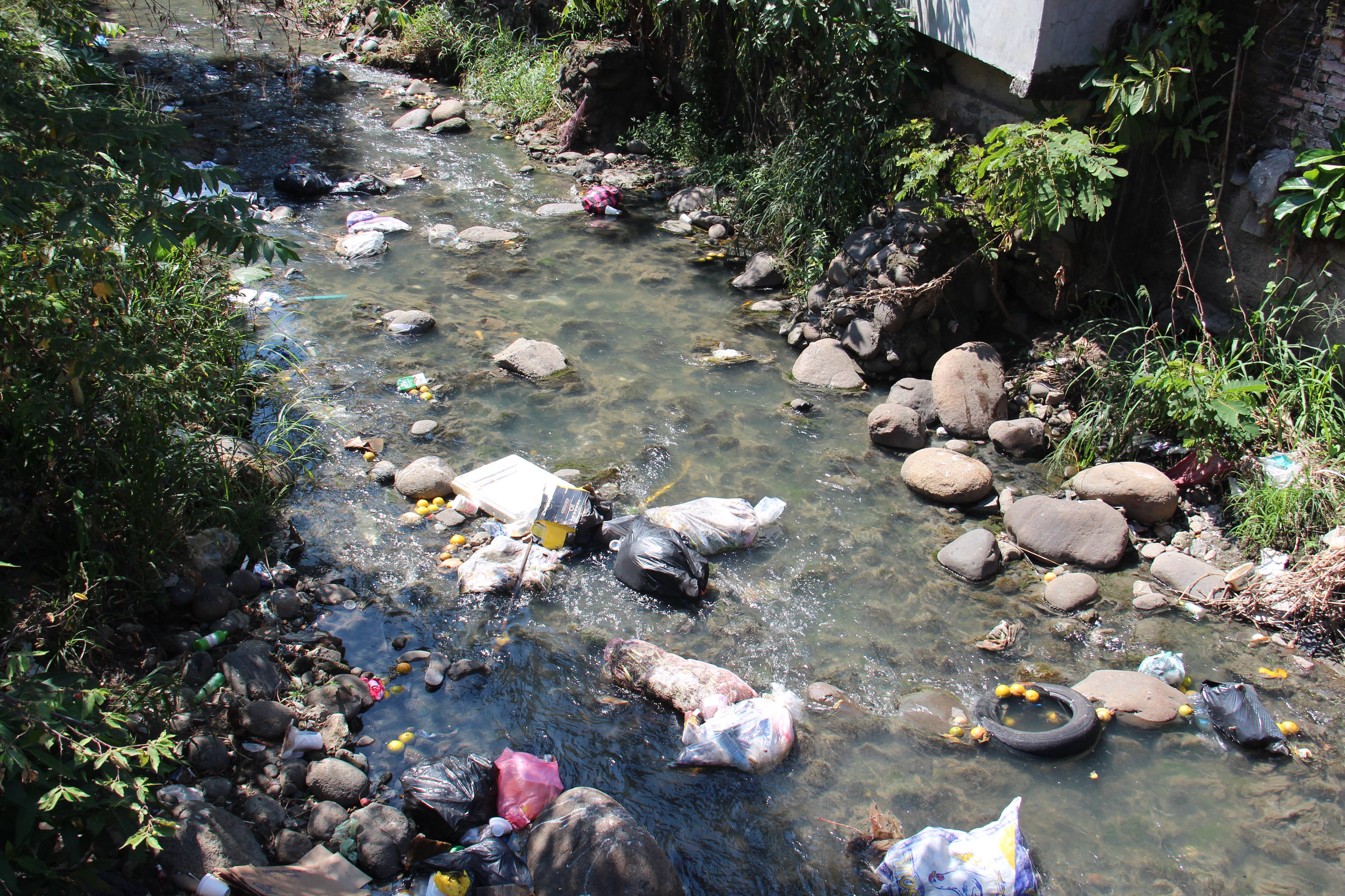 ECOSUR se suma a la limpieza del río Coatancito en Tapachula