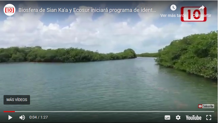 Biosfera de Sian Ka’a y Ecosur iniciará programa de identificación genética para especies exóticas