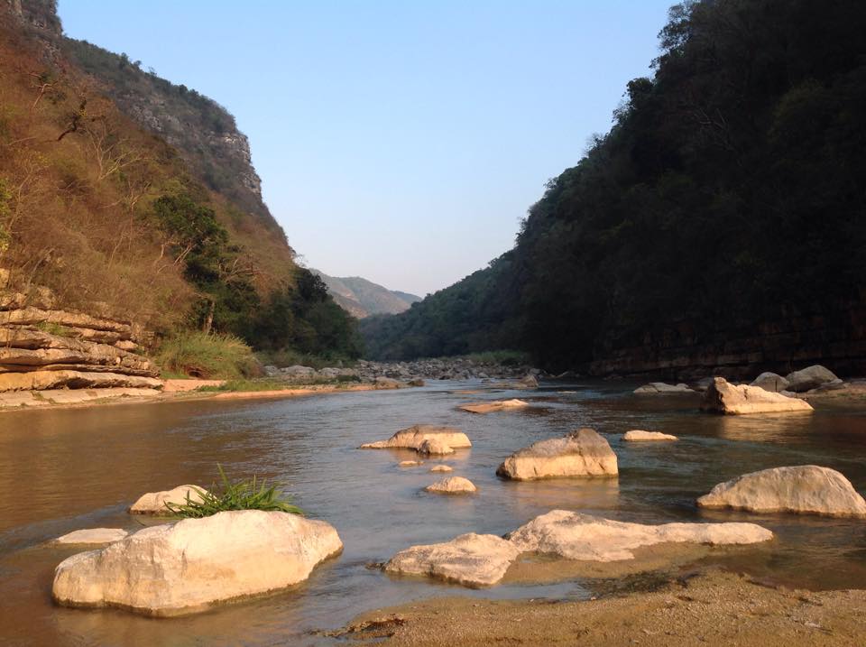 La Reserva de la Biósfera Selva El Ocote, ante el cambio climático