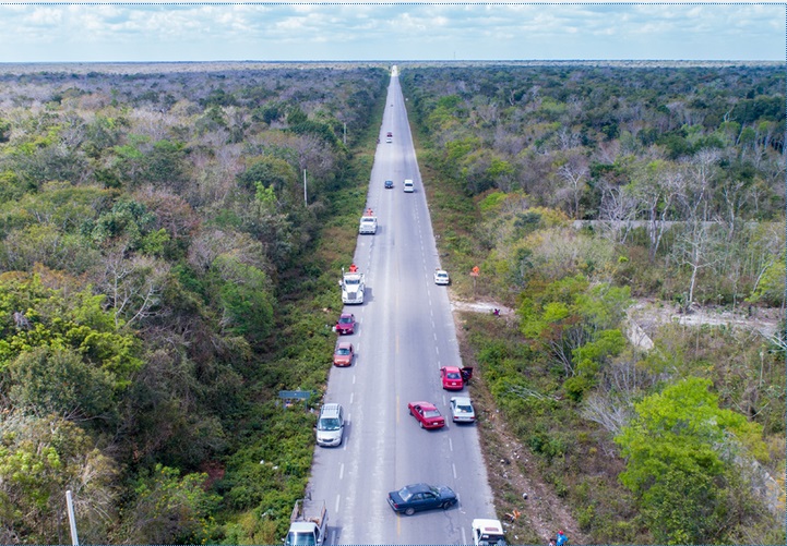 Ecosur apuesta por mitigar daño ambiental del Tren Maya