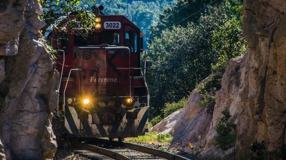 El Colegio de la Frontera Sur aportará investigación para el Tren Maya