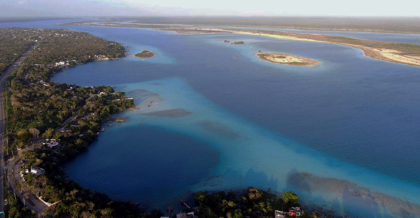 Se publica por primera vez trabajo del ADN ambiental como herramienta para el biomonitoreo y la conservación en México