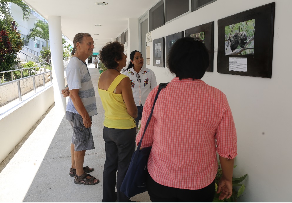 Exposición fotográfica “Biodiversidad en ECOSUR”