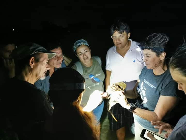 Conservación de la Cacerolita de Mar