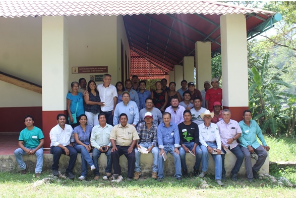 Producción de cacao en Tenosique, Tabasco:  técnicas de cultivo y aspectos económicos