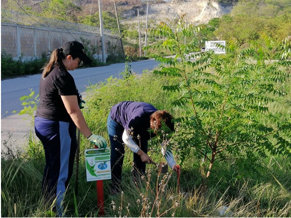 Instalación de letreros en la arboleda de ECOSUR, Unidad Campeche