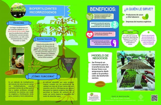 Biofertilizantes micorrizogenos