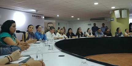 ECOSUR presente en reunión del Consejo Estatal para garantizar el derecho de las mujeres a una vida libre de violencia