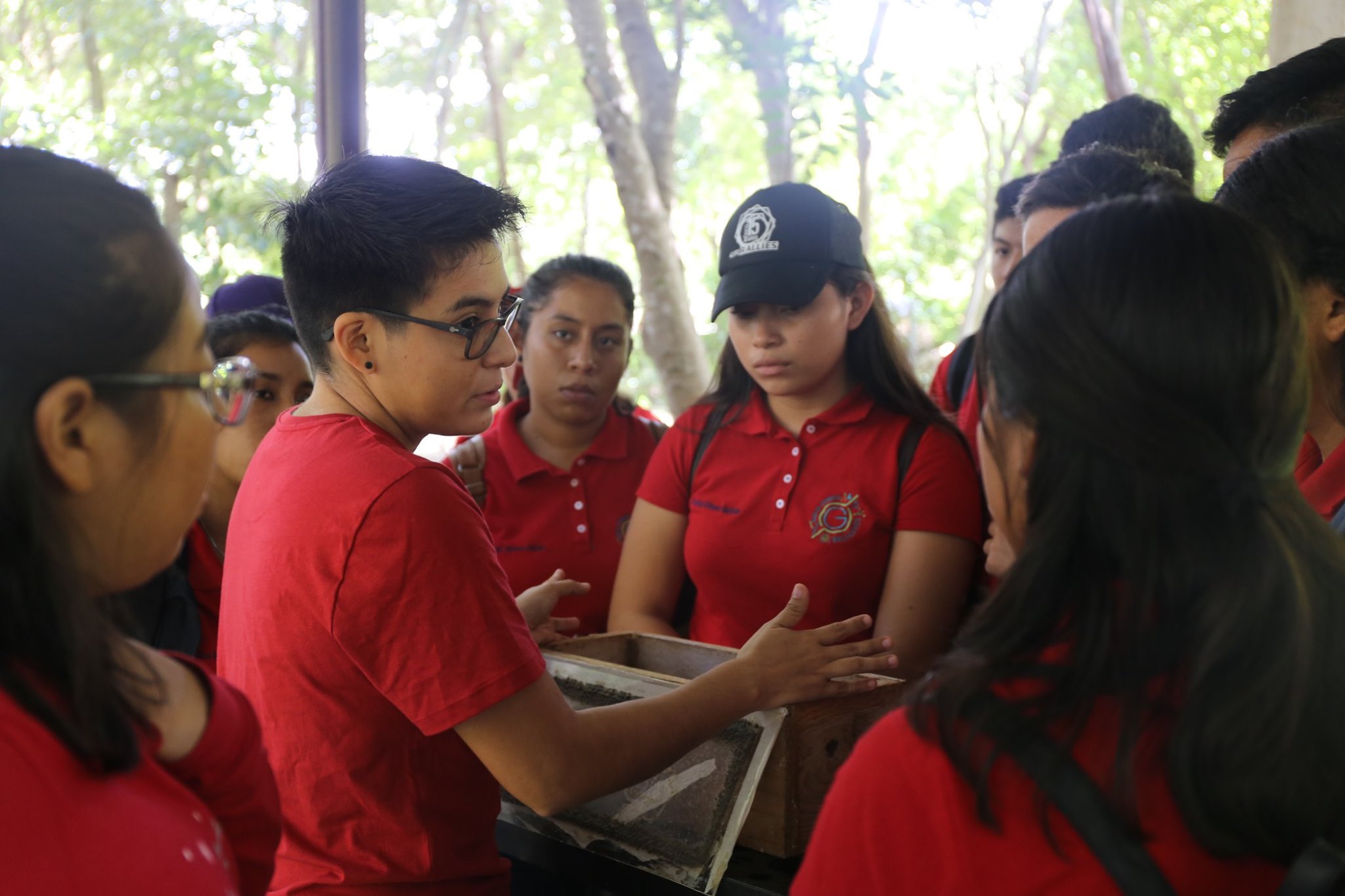 ECOSUR a Puertas Abiertas, Campeche