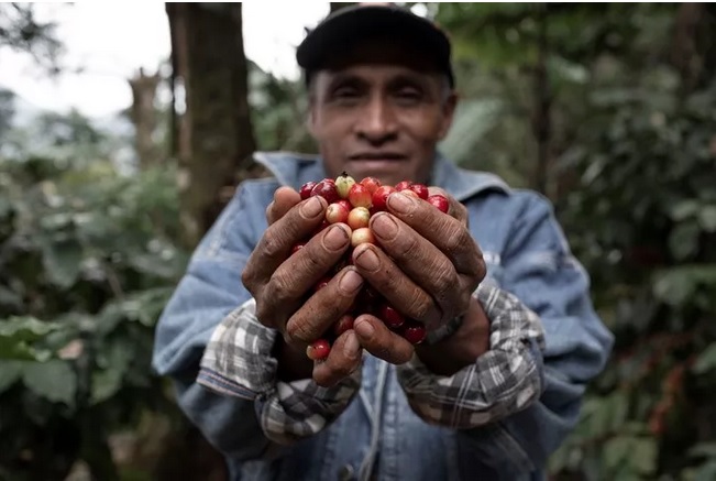 ECOSUR, sede del VII Simposio Internacional de Comercio Justo