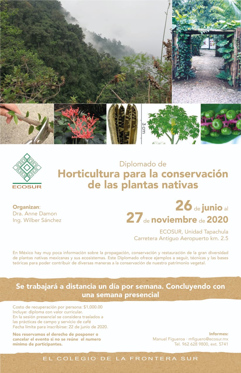 Diplomado “Horticultura para la conservación de plantas nativas”