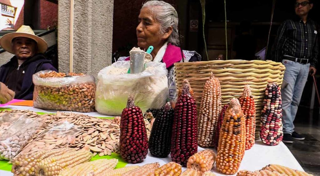 Conacyt apoya investigación sobre prácticas agroalimentarias ante escenarios de pandemias