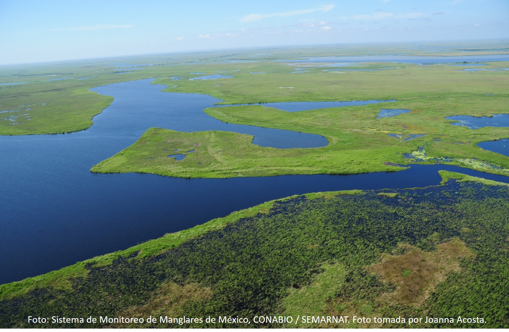 Participa en encuesta de sitios RAMSAR en Tabasco, Campeche y Chiapas