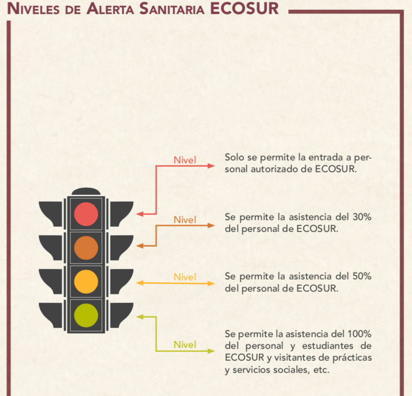 Protocolo de seguridad sanitaria de ECOSUR para el retorno laboral