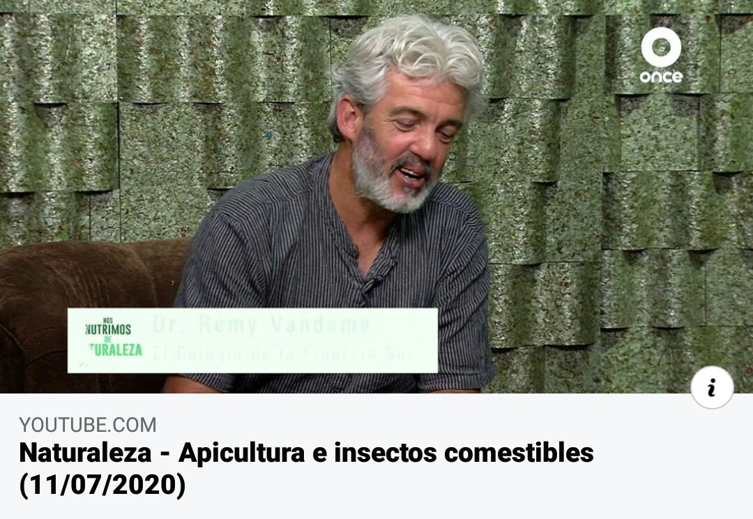 Entrevista a Rémy Vandame / “Apicultura e insectos comestibles”