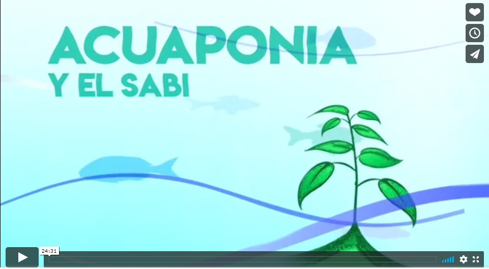 ACUAPONIA Y EL SABI