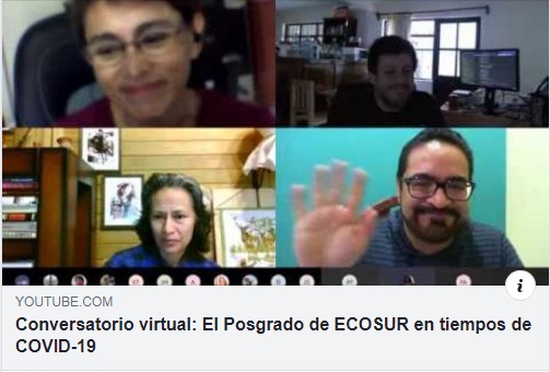 Conversatorio virtual “El posgrado de ECOSUR en tiempos de COVID”