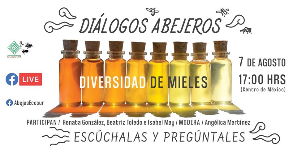 Charla sobre diversidad de mieles