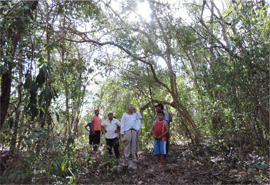 “El manejo forestal comunitario es el futuro”