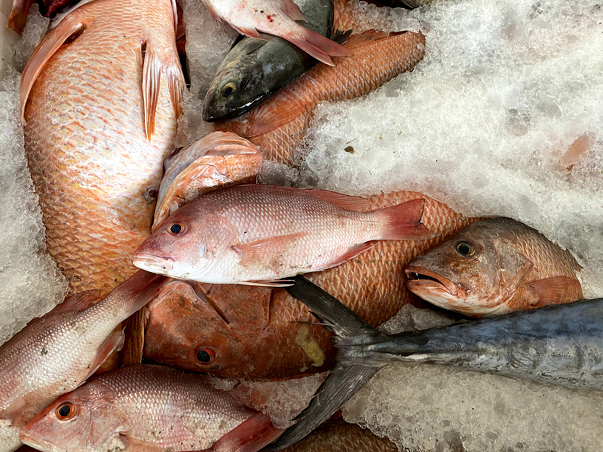La cuaresma y la deliciosa tradición de consumir pescado