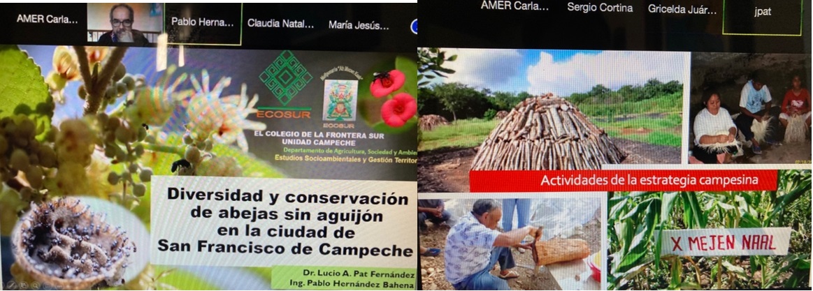 Destacada participación del Grupo de Estudios Socioambientales y Gestión Territorial en el 13º Congreso de la Asociación Mexicana de Estudios Rurales