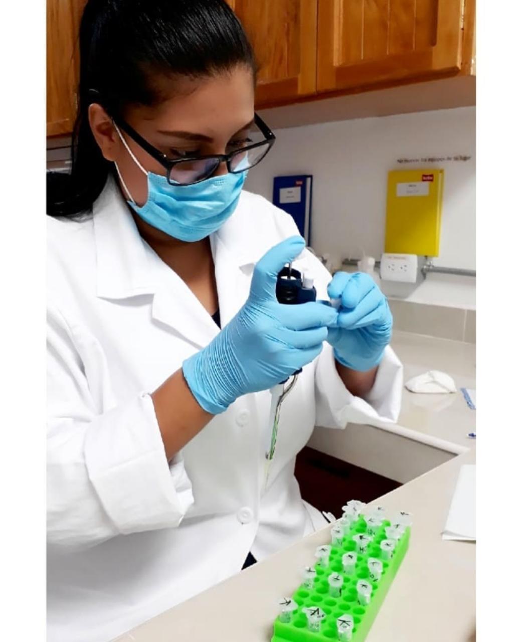 Integrantes del Departamento de Salud de ECOSUR exponen trabajos sobre perejil criollo y la chaya en el Congreso virtual de Bioquímica