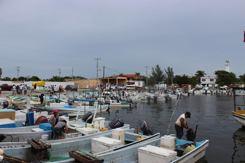 Litoral atlántico mexicano. Importancia bio-socioeconómica de la pesca  artesanal - Portal de El Colegio de la Frontera Sur