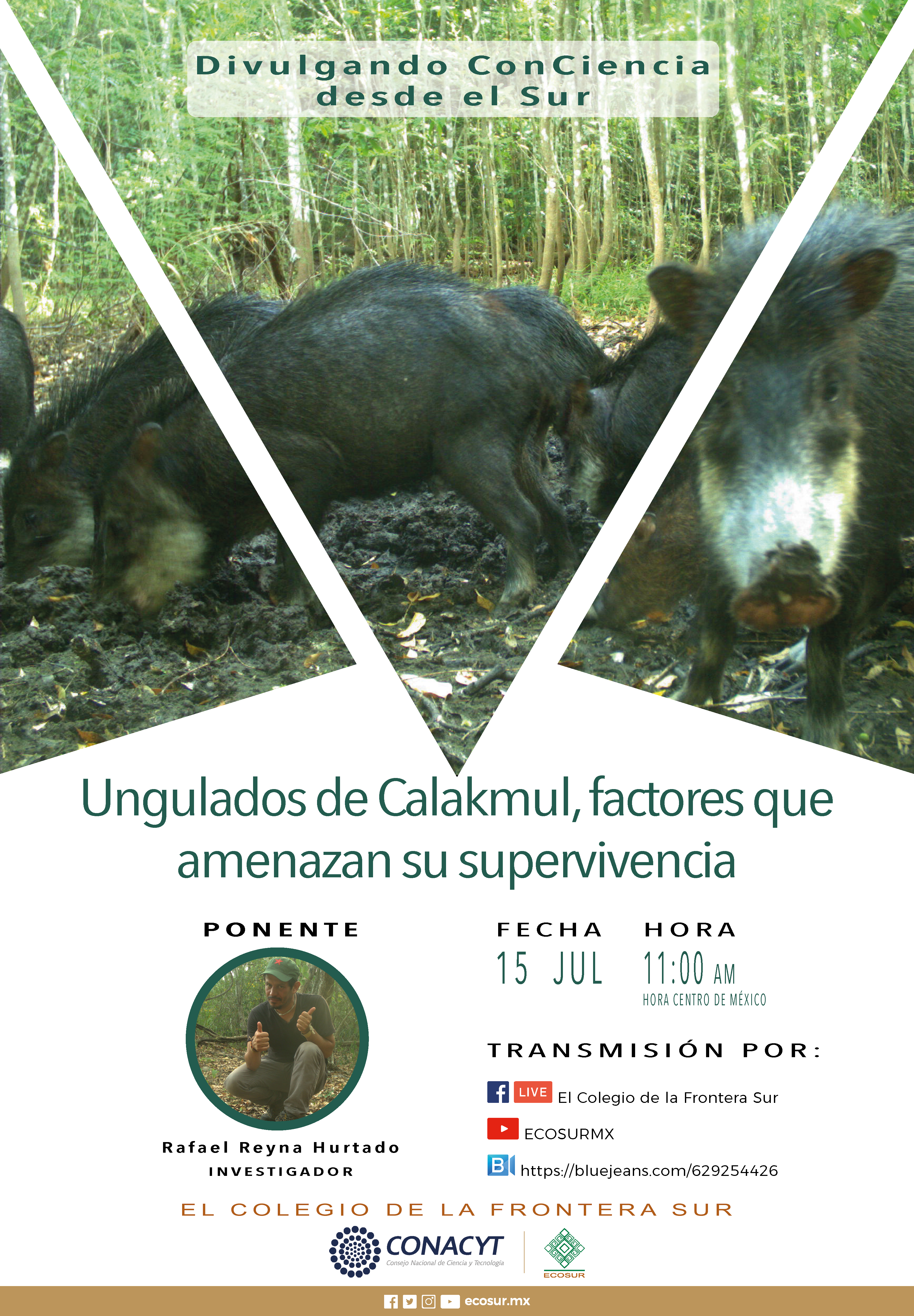 “Ungulados de Calakmul, Factores que amenazan su supervivencia”