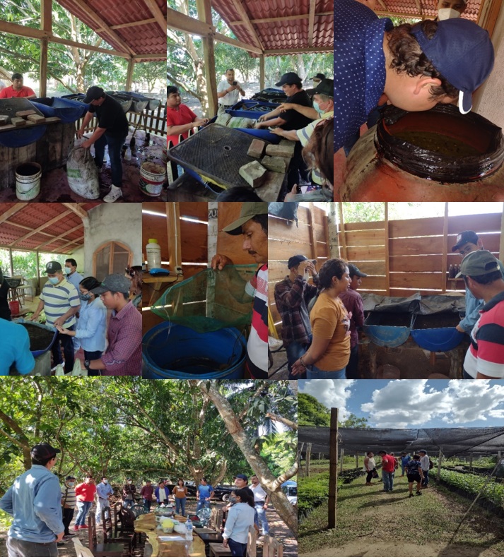 Realizan intercambio de experiencias PIES AGILES de Tabasco- Campeche y ECOSUR Unidad Villahermosa