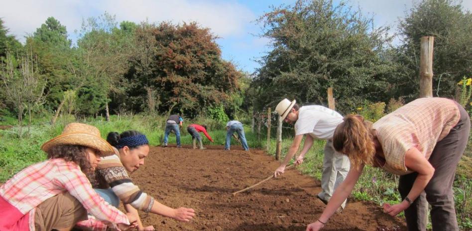 Sondeo para estudiar un Doctorado nacional en Agroecología