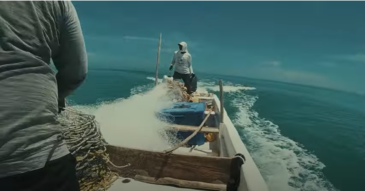 Juventudes por la pesca en México
