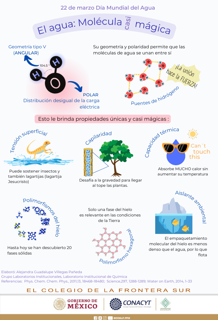 22 de marzo, Día mundial del Agua