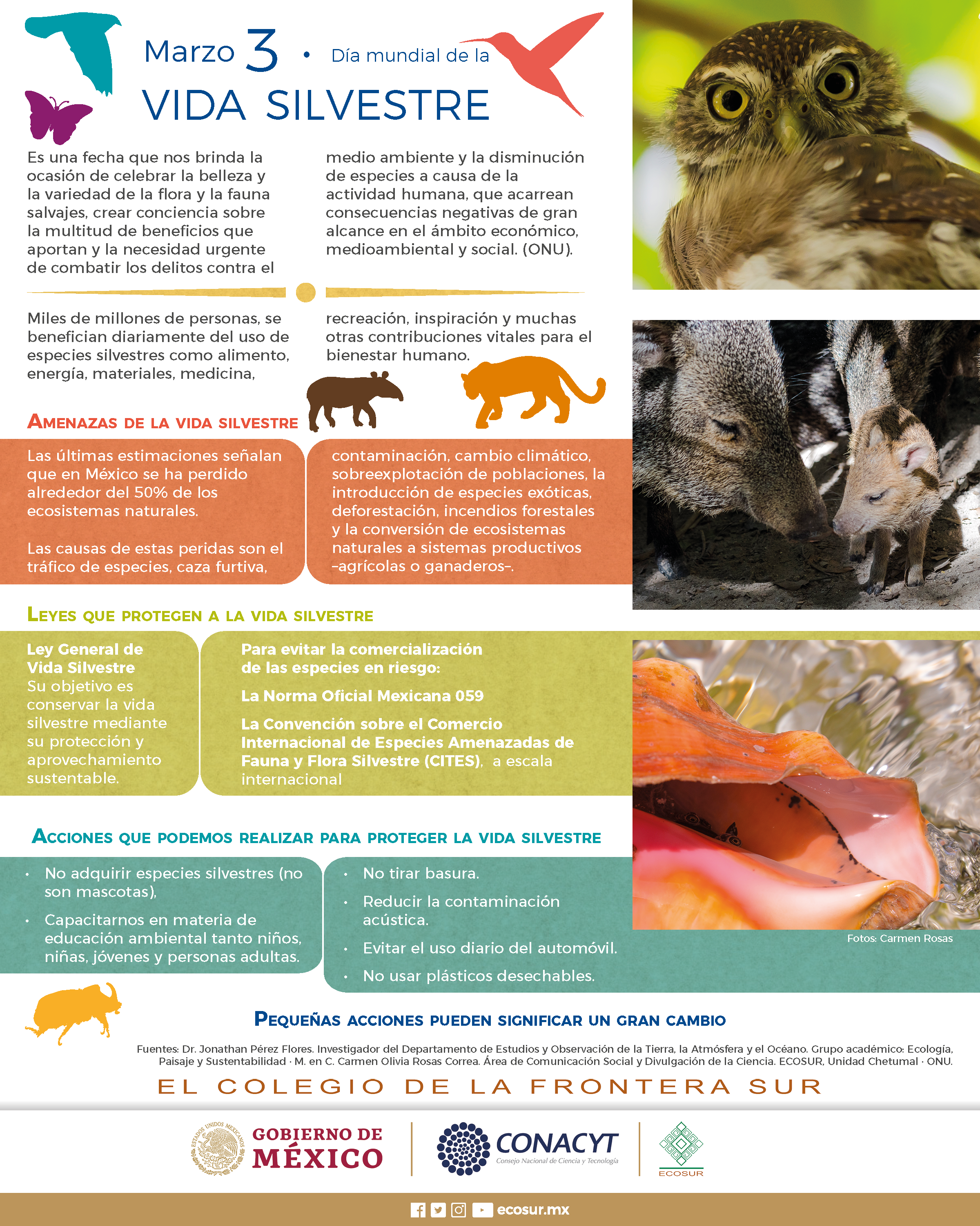 3 de marzo, Día mundial de la vida silvestre