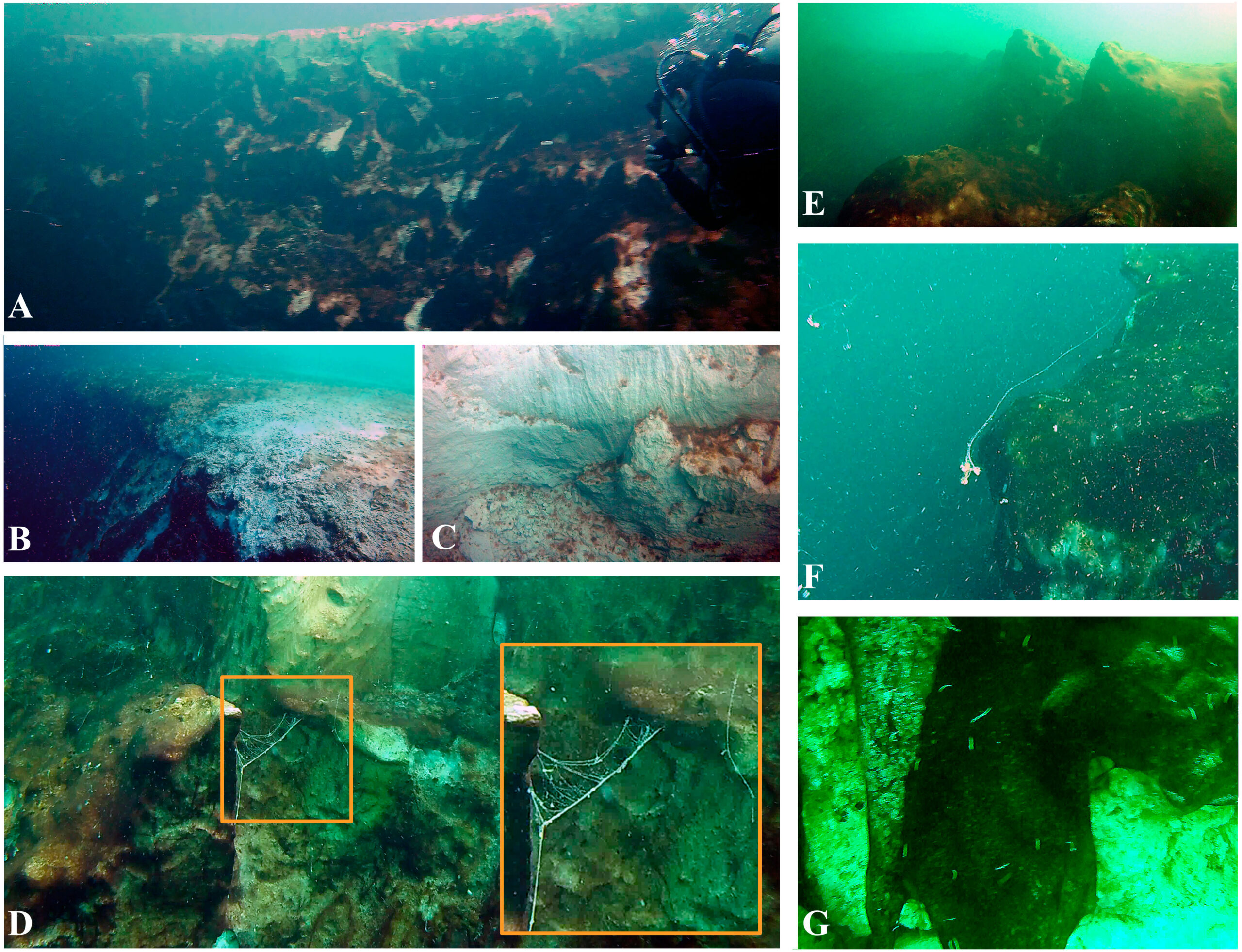 Identifican segundo agujero azul más profundo del mundo en bahía de Chetumal, México