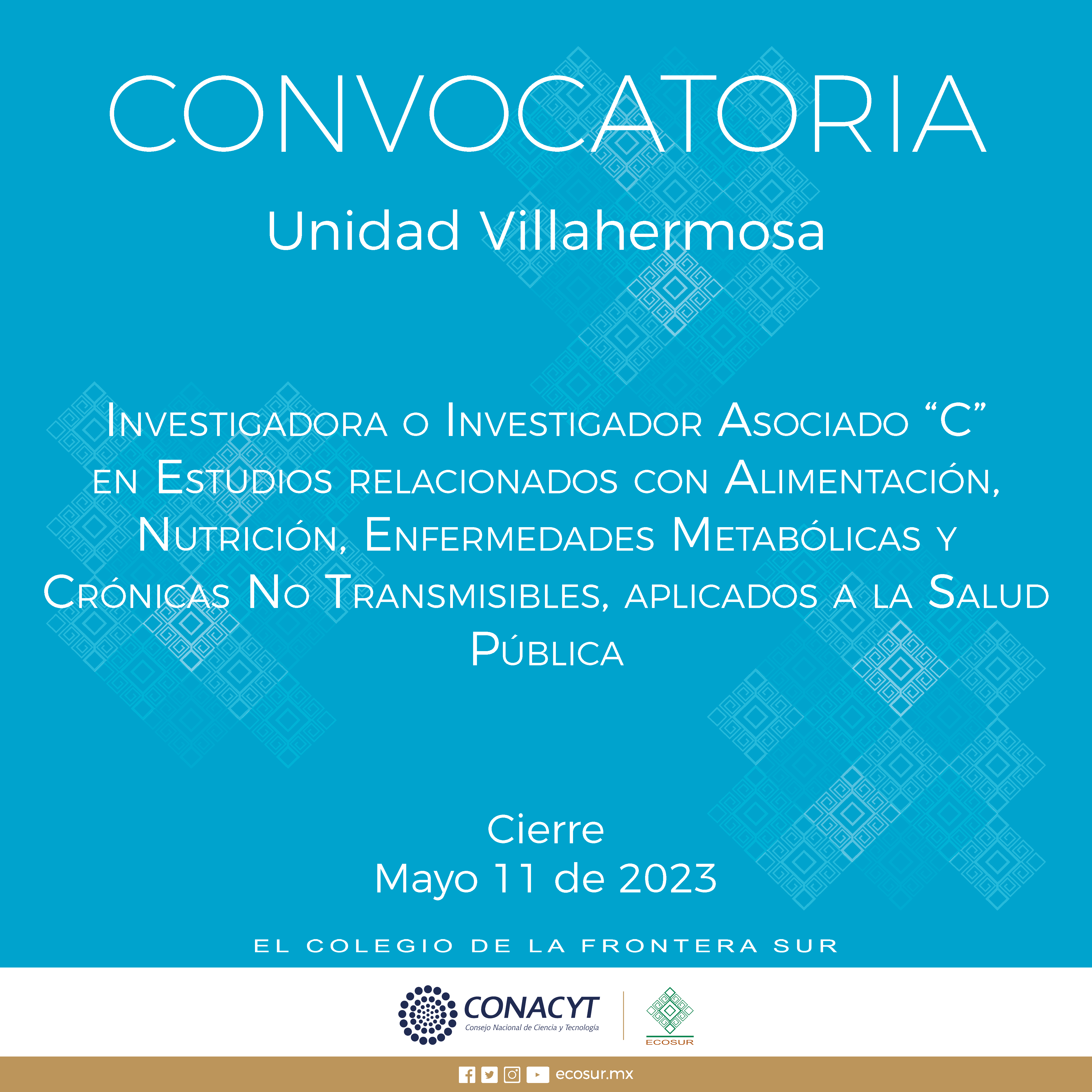 CGA-002-2023. Investigador(a) Asociado(a) “C” en Estudios relacionados con Alimentación, Nutrición, Enfermedades Metabólicas y Crónicas No Transmisibles, aplicados a la Salud Pública, en la Unidad Villahermosa.