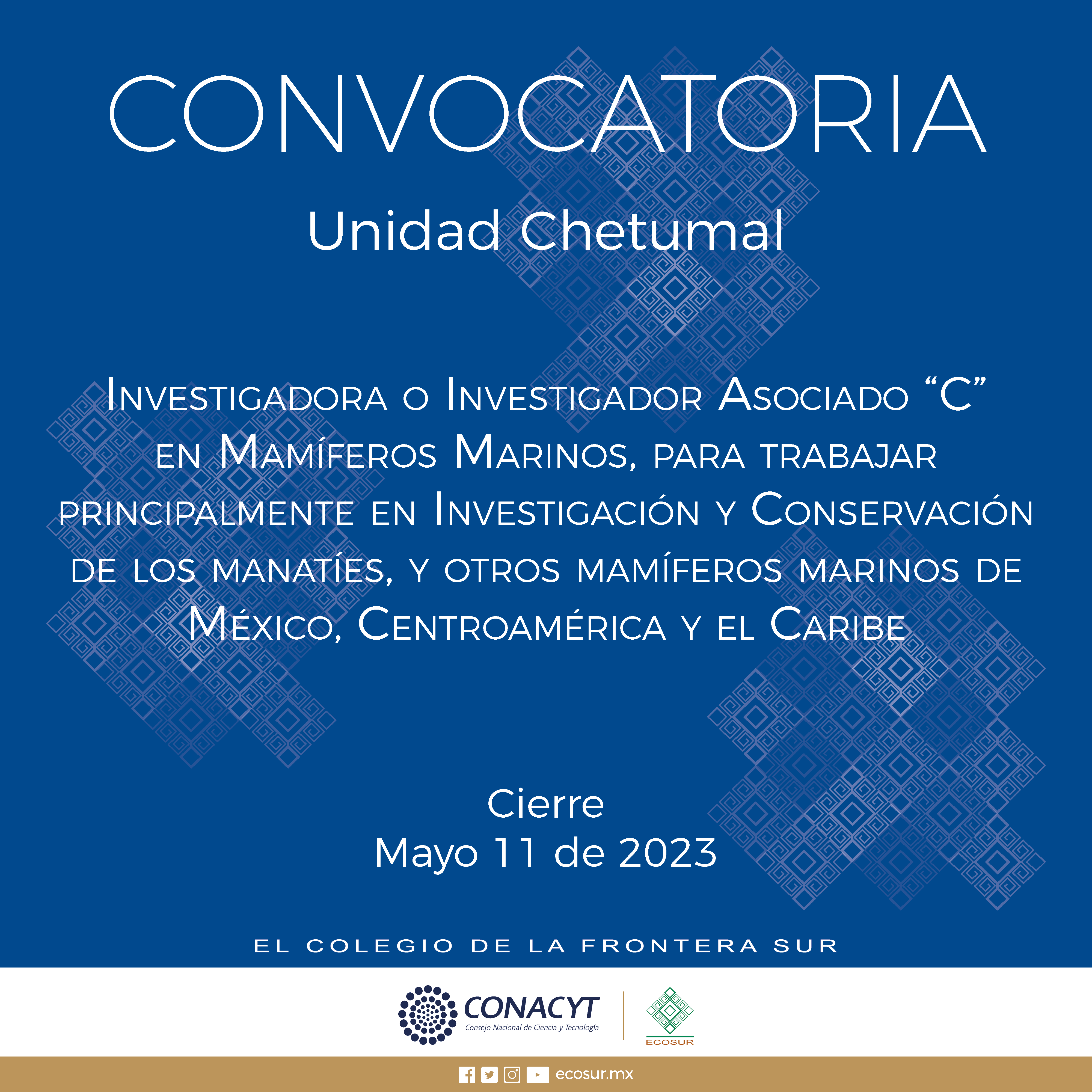 CGA-003-2023. Investigador/a Asociado/a “C” en Mamíferos Marinos, para trabajar principalmente en Investigación y Conservación de los manatíes, y otros mamíferos marinos de México, Centroamérica y el Caribe, en la Unidad Chetumal