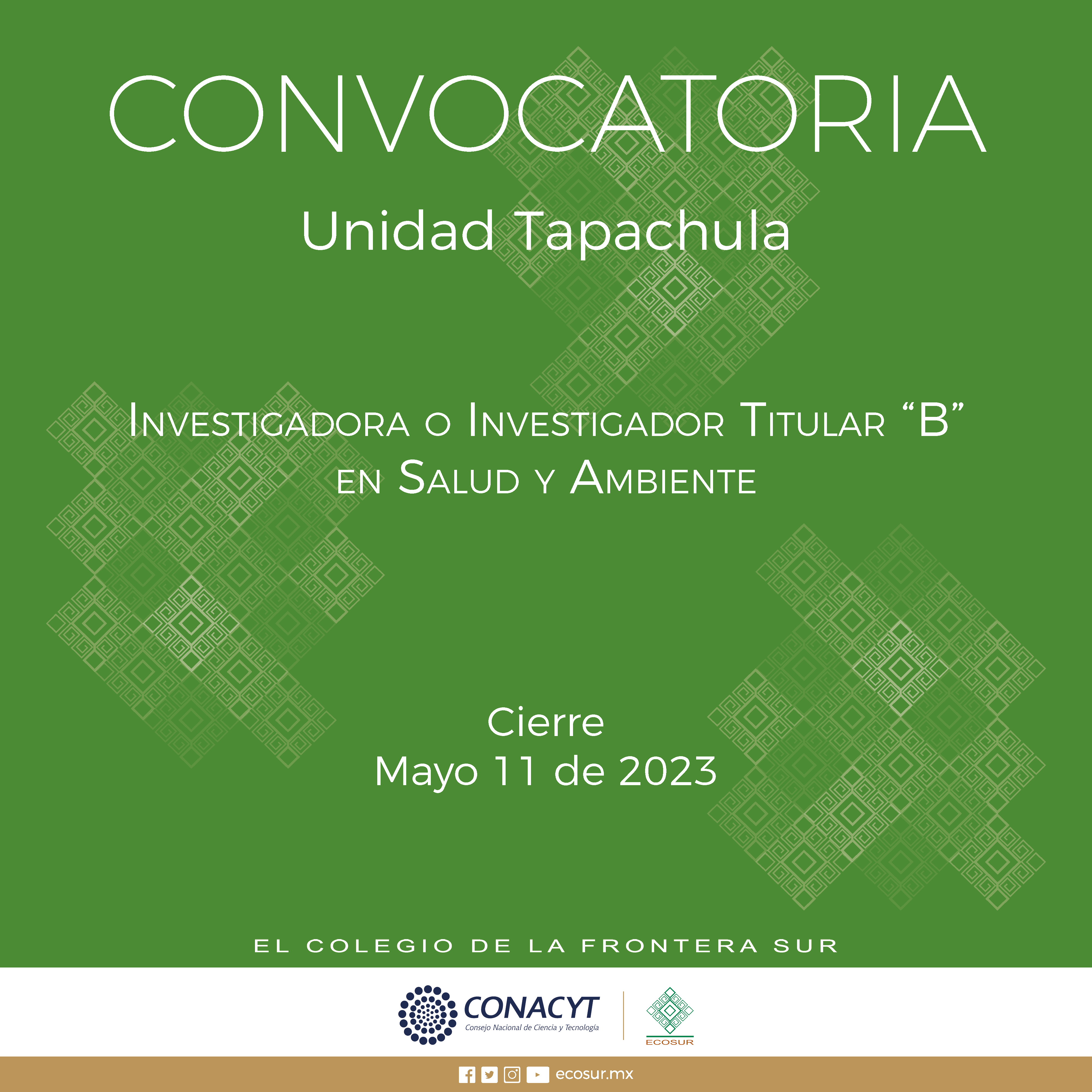 CGA-006-2023. Investigador/a Titular “B”. Salud y Ambiente, en la Unidad Tapachula