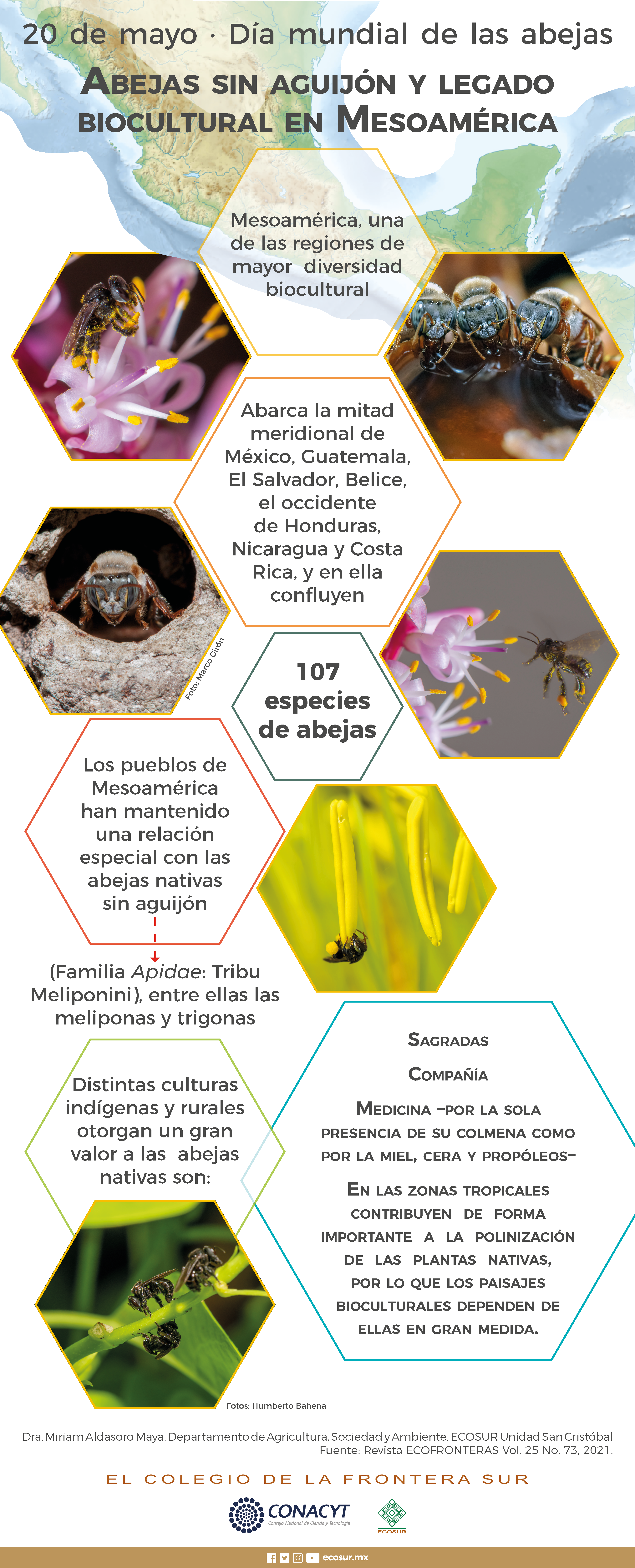 Abejas sin aguijon y legado biocultural en Mesoamerica