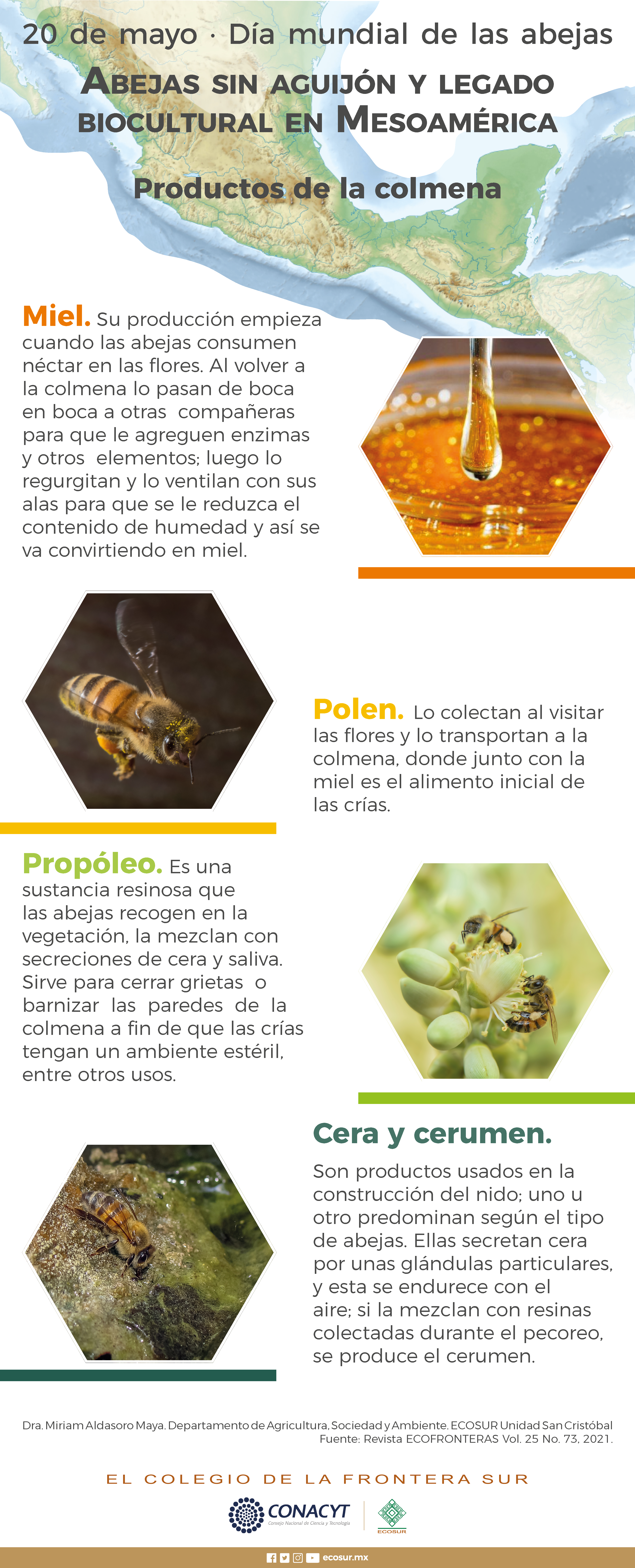 Abejas sin aguijon y legado biocultural en Mesoamerica