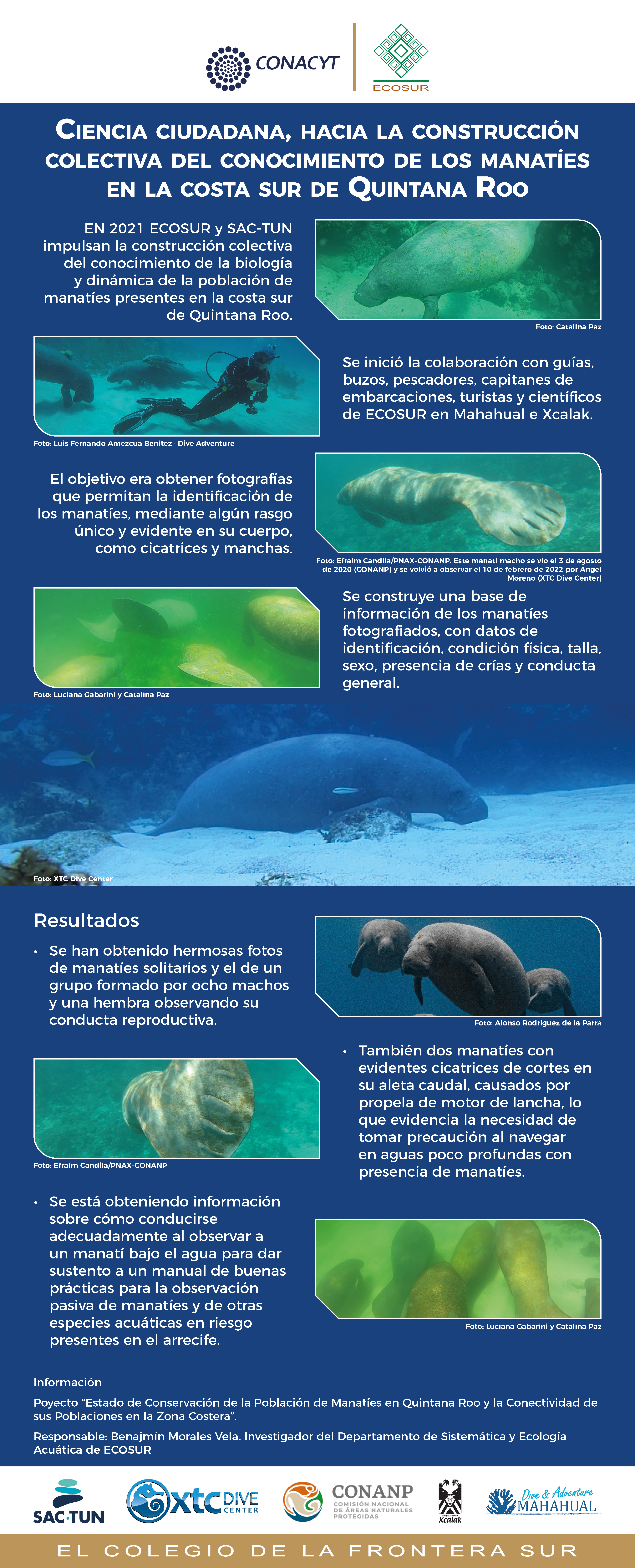 Ciencia ciudadana, hacia la construcción colectiva del conocimiento de los manaties en la costa sur de Quintana Roo